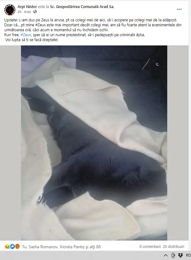 [ACTUALIZARE 2] NESIMȚIREA AGRESIVĂ a „famigliei” Crețiu, jucăriile furate ale câinelui-martir Zeus și alte porcării securistoide în derulare... ca prefață la întâlnirea de luni, cu primarul Bibarț, pe această temă