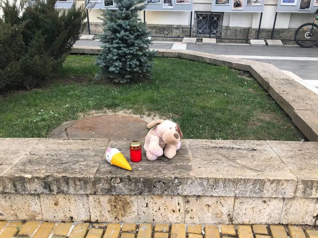 [ACTUALIZARE 2] NESIMȚIREA AGRESIVĂ a „famigliei” Crețiu, jucăriile furate ale câinelui-martir Zeus și alte porcării securistoide în derulare... ca prefață la întâlnirea de luni, cu primarul Bibarț, pe această temă
