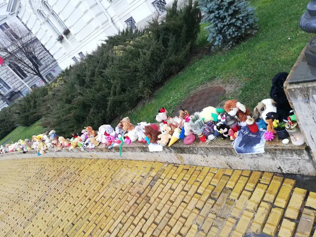 [ACTUALIZARE 2] NESIMȚIREA AGRESIVĂ a „famigliei” Crețiu, jucăriile furate ale câinelui-martir Zeus și alte porcării securistoide în derulare... ca prefață la întâlnirea de luni, cu primarul Bibarț, pe această temă