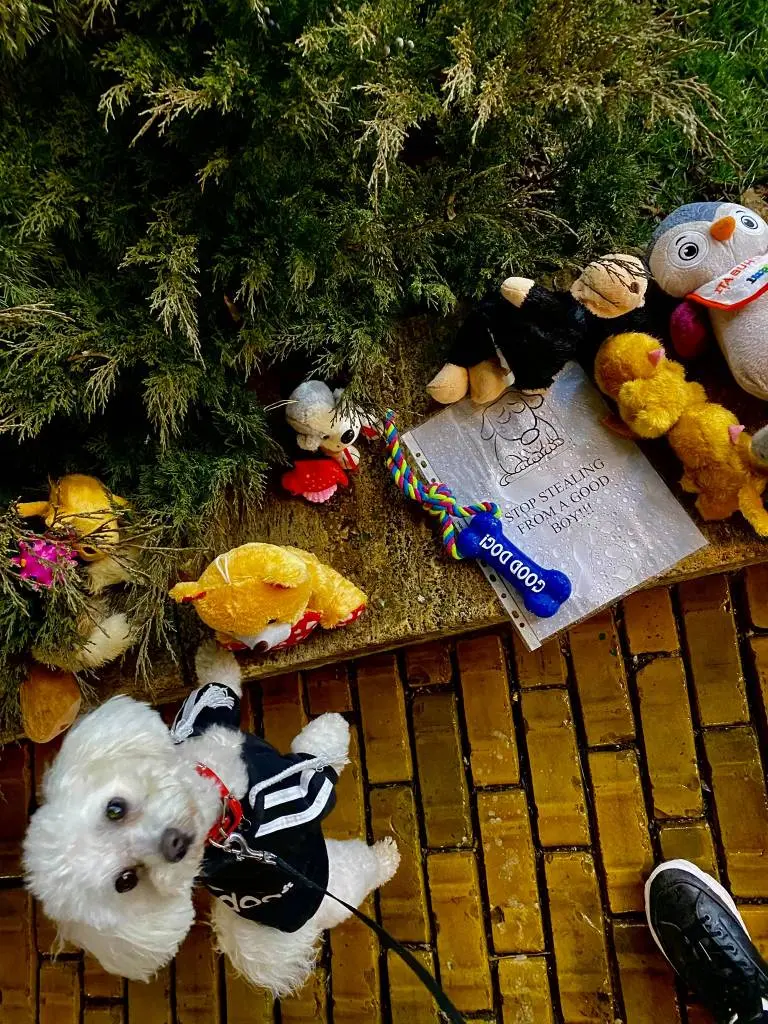 [ACTUALIZARE 2] NESIMȚIREA AGRESIVĂ a „famigliei” Crețiu, jucăriile furate ale câinelui-martir Zeus și alte porcării securistoide în derulare... ca prefață la întâlnirea de luni, cu primarul Bibarț, pe această temă
