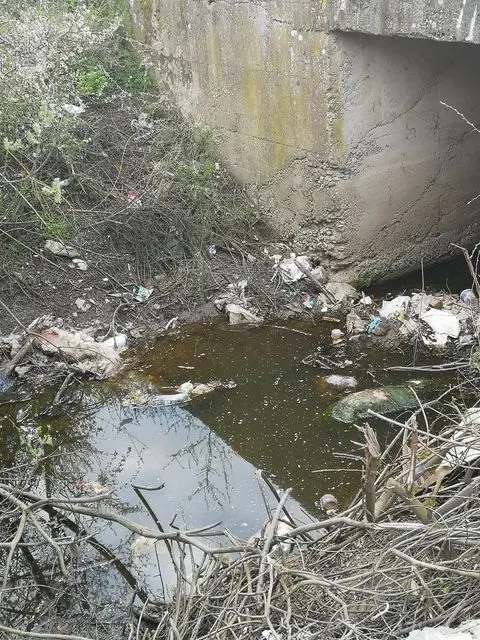 Comuna Apateu continuă să-și polueze singură inclusiv ARIILE PROTEJATE!