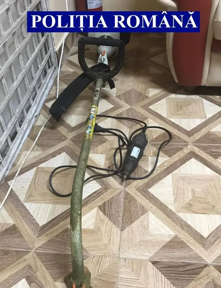 lucrările care vor fi prezentate