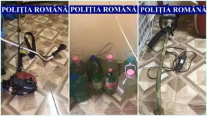fază clasică” la vânători