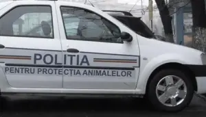 un bărbat de 43