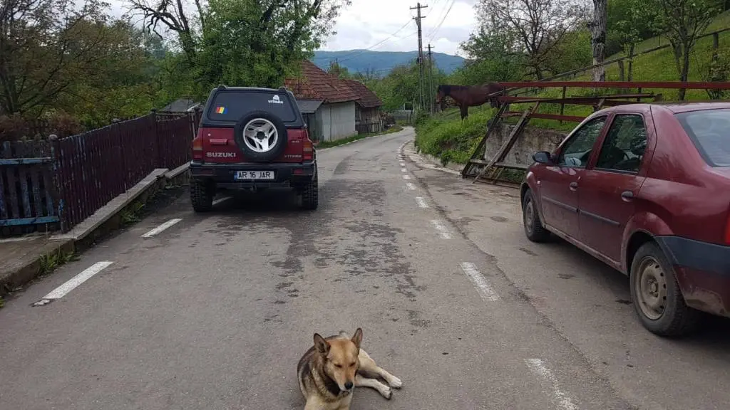 [ACTUALIZARE 2] S-a deschis un DOSAR PENAL vizând agresiunea viceprimarului comunei Hălmăgel, Adrian-Florin Tat, împotriva vecinului său. Din nefericire pentru „bunul mers al Justiției”, de caz se ocupă Secția 10 de Poliție Rurală Gurahonț...