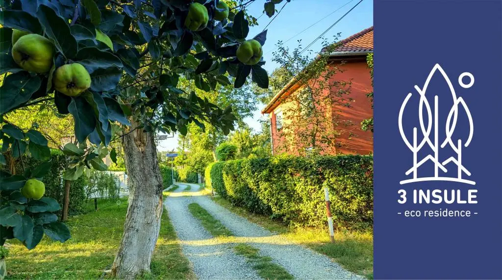 Eco Residence-ul de la #3insule Arad are conducere nouă și planuri frumoase