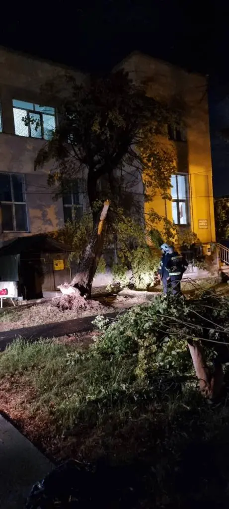 [ACTUALIZARE 3] Seria de FURTUNI a măturat județul de la Nădlac la Sântana, iar în municipiu a făcut curățenie așa cum numai NATURA știe să facă!