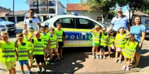 lecții de educație rutieră