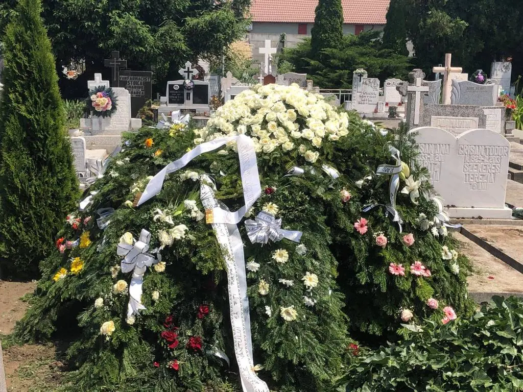 [ACTUALIZARE 7] Cu 300 de agenți SRI în hoteluri și pensiuni, cu toți interlopii scoși la „cafea” de toți polițiștii din Arad, cu portbagajele pline de dovezi ale „frăției eterne” dintre aceștia, ANCHETATORII CAZULUI CRIȘAN au... MINUS O PISTĂ - cea reală!