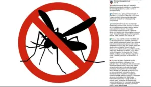 primăria promite că dezinsectează aradul
