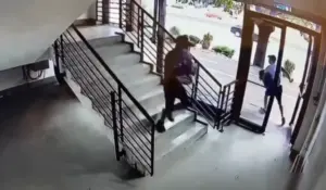 doi hoți în curs