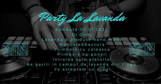 Zilele LAVANDEI din Vinga - Ediția a II-a... prilej de PETRECERE a unui weekend-încărcător [FOTO / VIDEO]