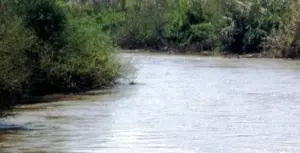 cadavrul descompus al bărbatului