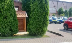 fostul ministru de interne