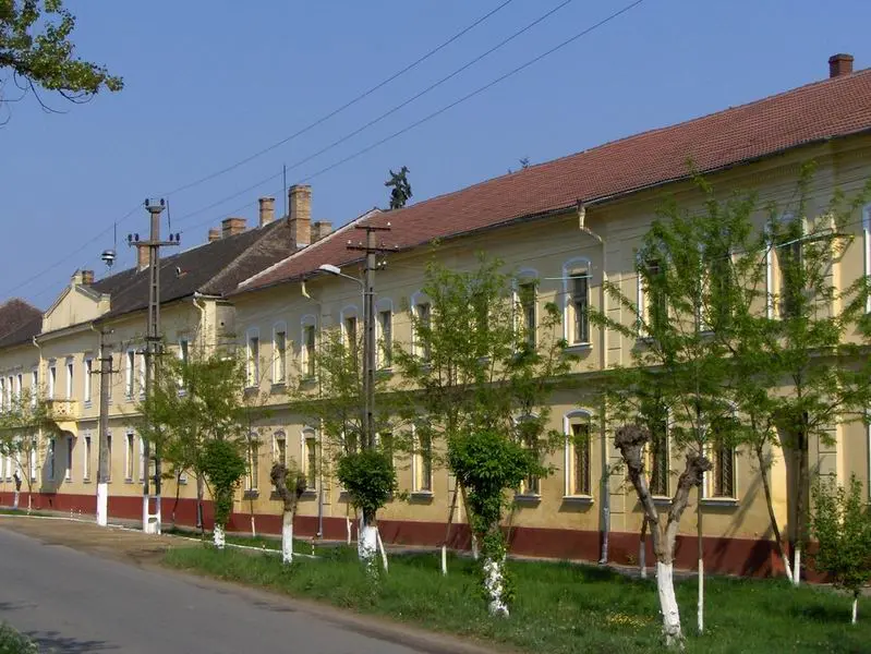 [ACTUALIZARE] DOSAR PENAL pentru mai multe INFRACȚIUNI GRAVE pe numele celor trei minori care și-au agresat colegul la Liceul „Atanasie Marienescu” din Lipova. Inclusiv tânărul care a filmat și ulterior distribuit imaginile a fost REȚINUȚ în ARESTUL POLIȚIEI