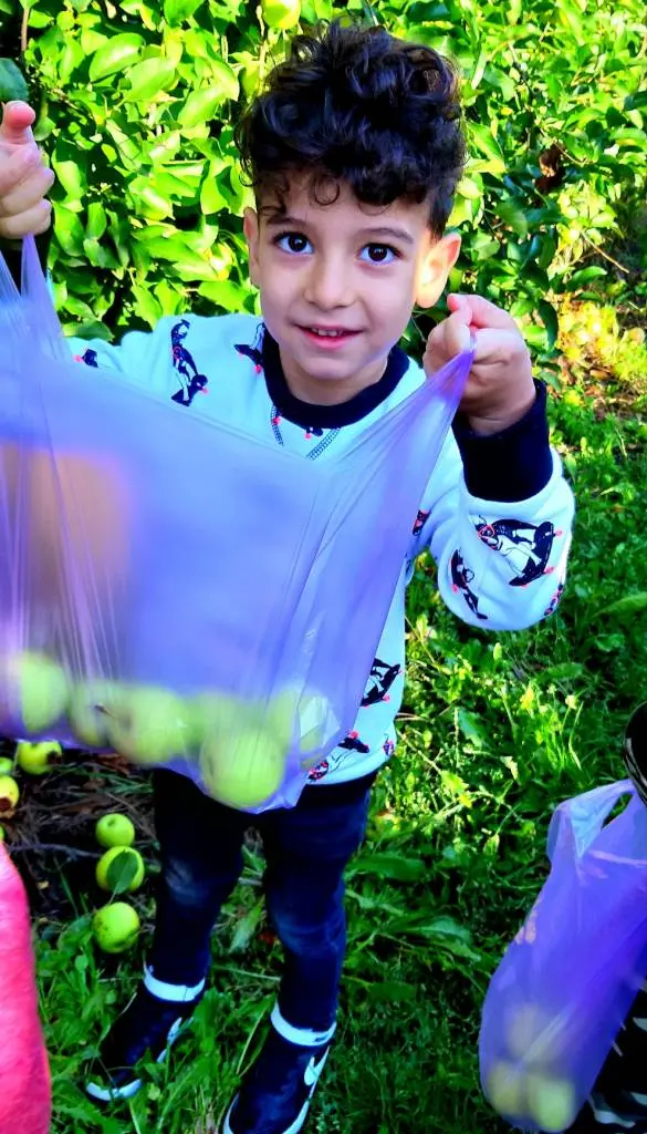 MERE de la PERIAM - o afacere profitabilă în spatele căreia se află multă muncă și implicare [FOTO / VIDEO]