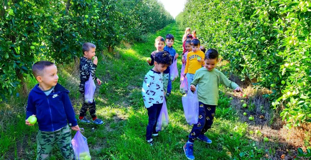 MERE de la PERIAM - o afacere profitabilă în spatele căreia se află multă muncă și implicare [FOTO / VIDEO]
