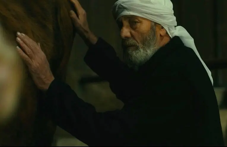 Filme de la Veneția, în programul Ediției a-IV-a a Festivalului Filmului Palestinian