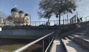 noua generație de „cerșetori