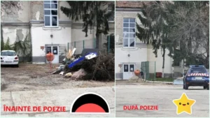 poezia salvează românia! ceea