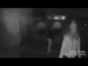 o femeie care își plimba