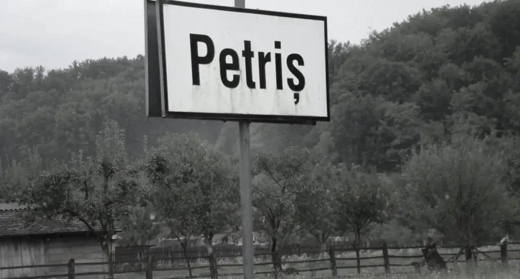 petris scaled