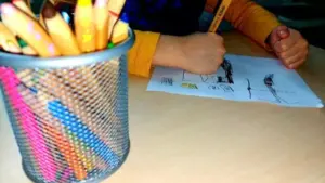grădinițele private din arad și-au