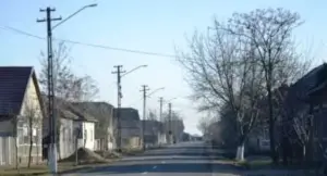 un măcean de 63