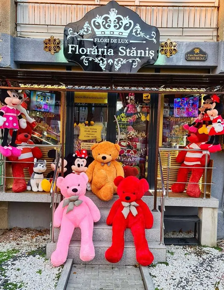 [ACTUALIZARE] Cum să RECUPEREZI un URS DE PLUȘ - CONTRATUTORIAL