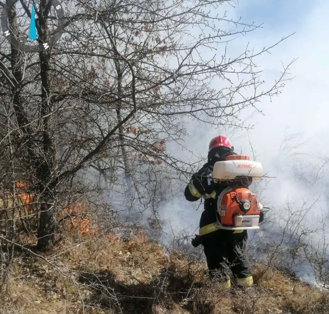 în această săptămână au avut
