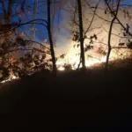ISU incendiu4 scaled