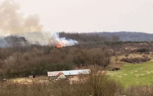 în incendiul din zona tauț