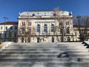 programul activității cu publicul