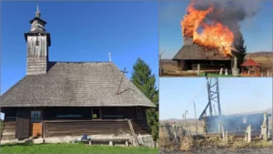 asociația culturală vernacular vrea