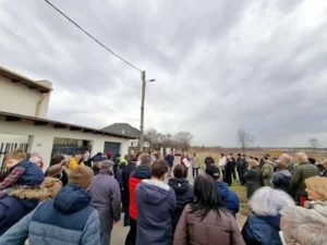 consilierii locali usr plus vorbesc