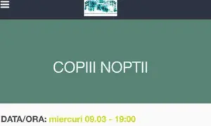 teatrul național din timișoara vă