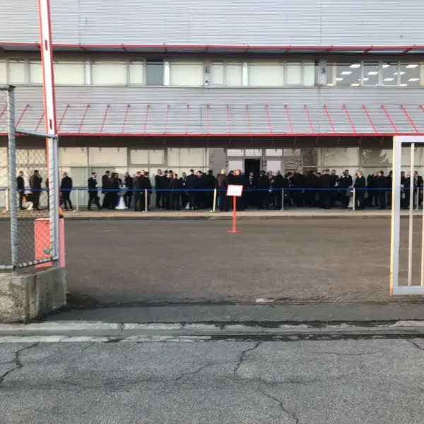„gala elitelor arădene” - concepută să promoveze o adunătură de pinguini-masoni, aripa bălănescu - umilită moral, estetic și concomitent de cea a dinozaurilor 3 gala masonilor