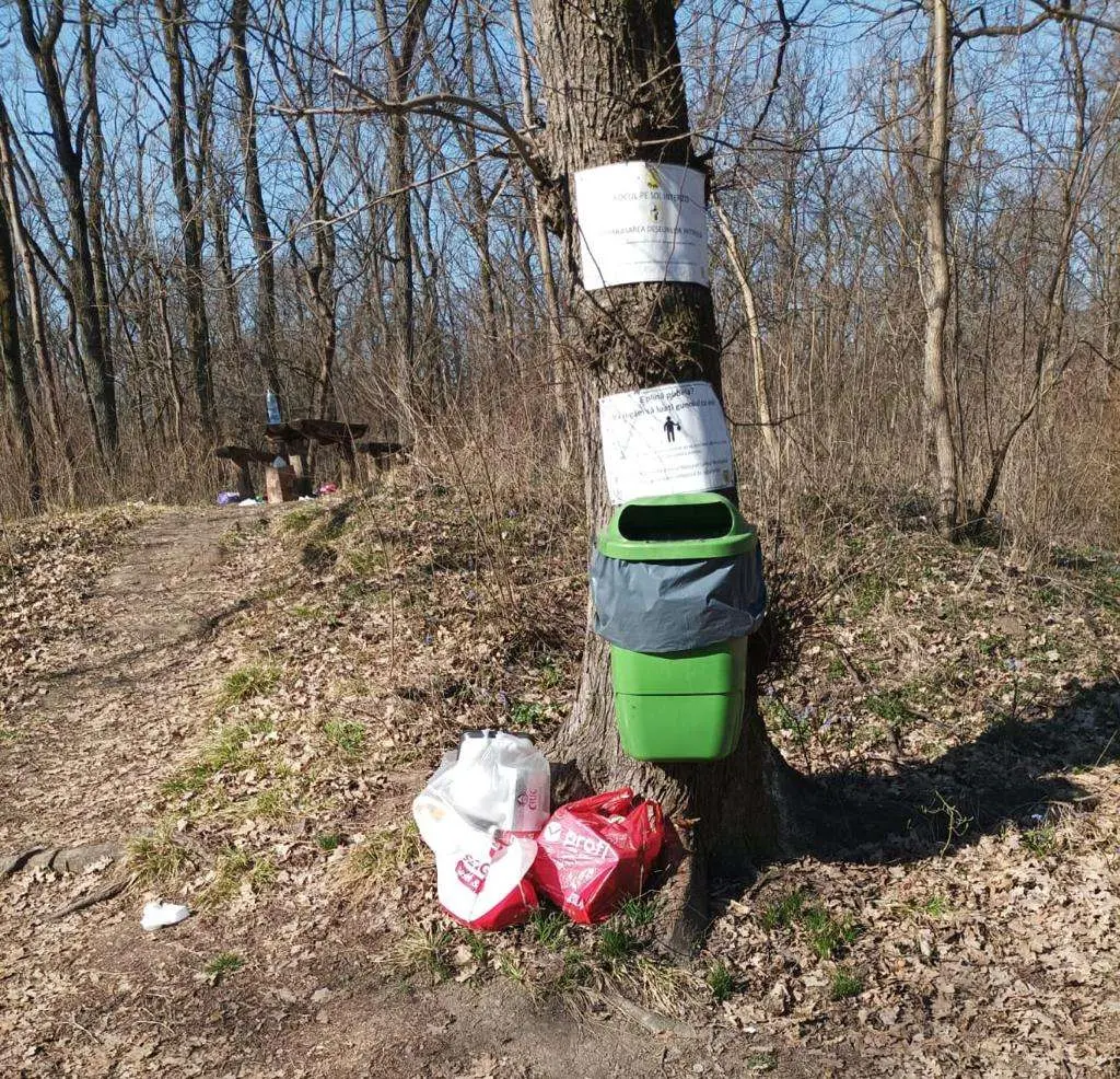 Din păcate, pentru unii pădurea este groapă de gunoi...
