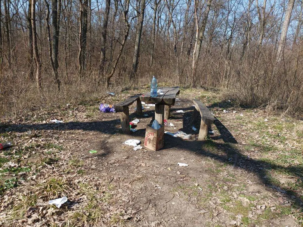 Din păcate, pentru unii pădurea este groapă de gunoi...