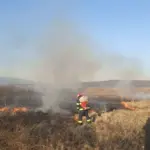 incendiu vegetatie scaled
