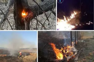 apelurile isu sunt ignorate