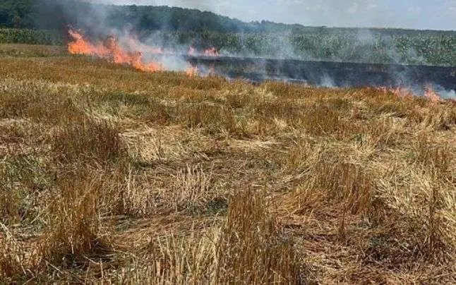 ardere controlata miriste