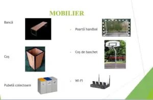 teren moise8