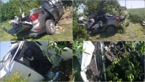 unui bărbat de 46