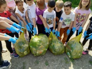 eco provocarea”