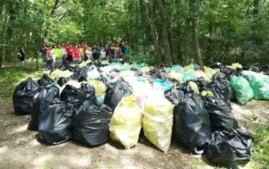 participanții la acțiunea de igienizare