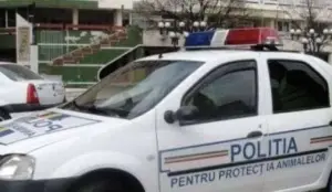 au intrat în vigoare noile