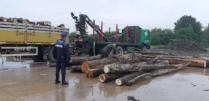 polițiștii de la ordine publică