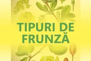 complexul muzeal arad prezintă valori