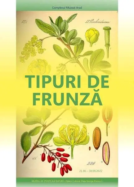 Complexul Muzeal Arad prezintă valori de patrimoniu din colecția de Științe ale Naturii - „IERBAR” în expoziția „TIPURI DE FRUNZĂ”